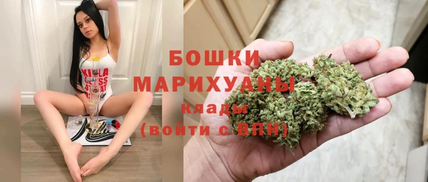 дмт Нягань