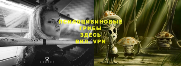 дмт Нягань