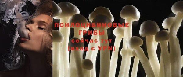 гашиш Няндома