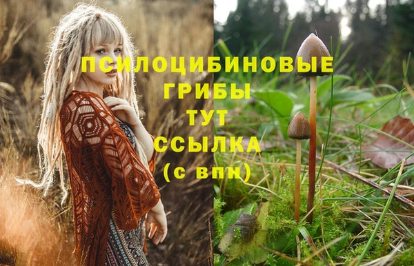 гашиш Няндома