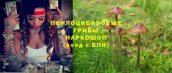 ПСИЛОЦИБИНОВЫЕ ГРИБЫ Гусь-Хрустальный