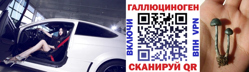 Галлюциногенные грибы Cubensis  наркошоп  Красный Кут 
