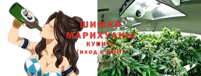 Бошки Шишки THC 21%  Красный Кут 